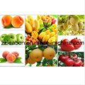 Hot Selling Orange Fruit Juice Machine/Industrial Juicer Squeezer